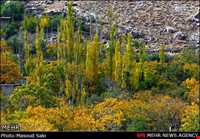 روستای منشاد