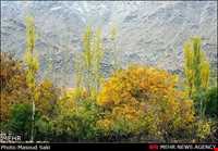 روستای منشاد