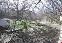 روستای منشاد