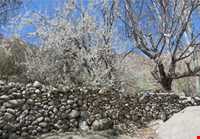 روستای منشاد