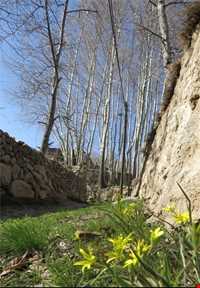 روستای منشاد