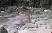 روستای دیورش