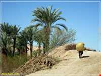 روستای ازمیغان