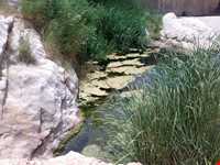 روستای ازمیغان