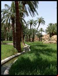 روستای ازمیغان