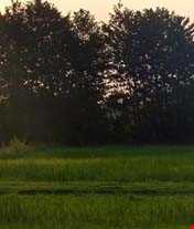 روستای حسن سرا