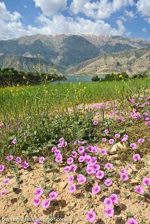 Mongasht ( Mangasht ) Mountain