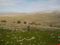 Mongasht ( Mangasht ) Mountain