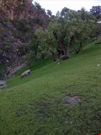 Mongasht ( Mangasht ) Mountain