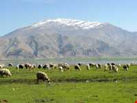 Mongasht ( Mangasht ) Mountain