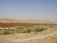 روستای افین