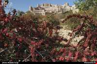 روستای فورگ