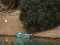 دریاچه شهیون ( دز )