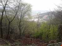 دریاچه توشن