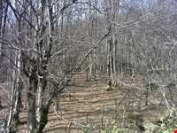 دریاچه توشن