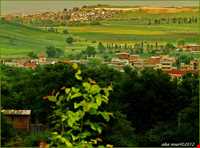 دریاچه توشن