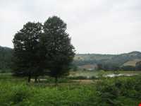 دریاچه توشن