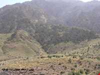 منطقه حفاظت شده شاسکوه و اسفدن