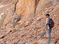 منطقه حفاظت شده شاسکوه و اسفدن