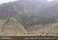 منطقه حفاظت شده شاسکوه و اسفدن