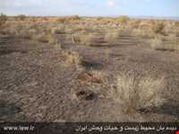 منطقه حفاظت شده شاسکوه و اسفدن