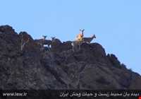 منطقه حفاظت شده شاسکوه و اسفدن