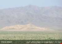 منطقه حفاظت شده شاسکوه و اسفدن