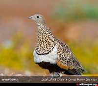 Shirahmad Wildlife Refuge