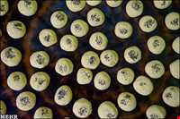 نان برنجی کرمانشاهی