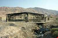 چشمه‌های قیر ماماتین