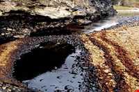 چشمه‌های قیر ماماتین