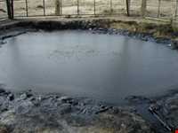 چشمه‌های قیر ماماتین