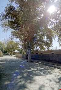 baghestane olya village