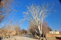 baghestane olya village