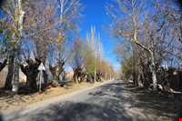 baghestane olya village