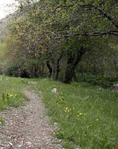 روستای  خماط