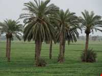 روستای  خماط