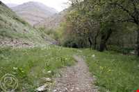 روستای  خماط