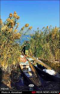 تالاب بام دژ ( بامدژ )