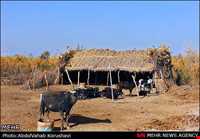 تالاب بام دژ ( بامدژ )