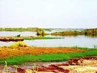 تالاب بام دژ ( بامدژ )