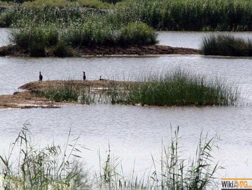 تالاب بام دژ ( بامدژ )