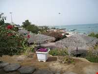 پارک ساحلی مرجان کیش