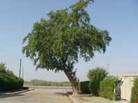 محوطه باستانی هفت تپه