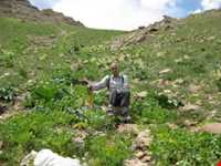 روستای بابانظر