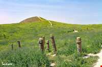 گورستان خالد نبی