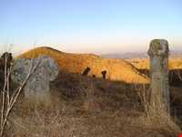 گورستان خالد نبی