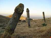 گورستان خالد نبی