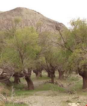 روستای مهوید