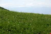 منطقه عمارلو